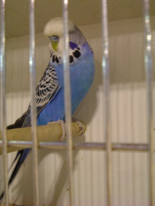 DSCF6181.JPG