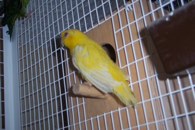 catherinelutino2.JPG