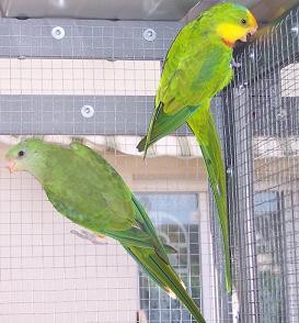 couple1.JPG
