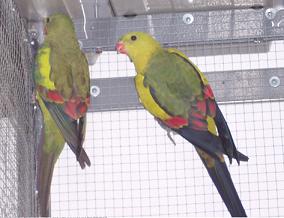 couple3.JPG