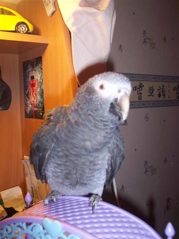 lulu6.jpg