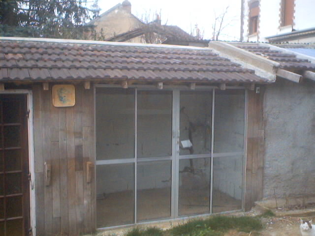 photo 04.JPG