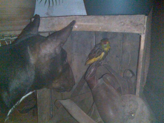 Photo106 (Small).jpg