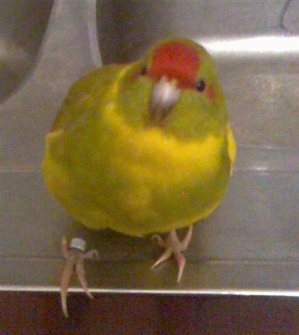 Photo003 (Small).jpg