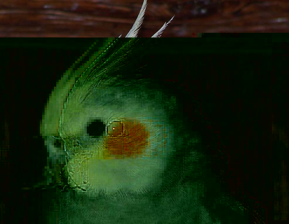 102_1496wx.jpg