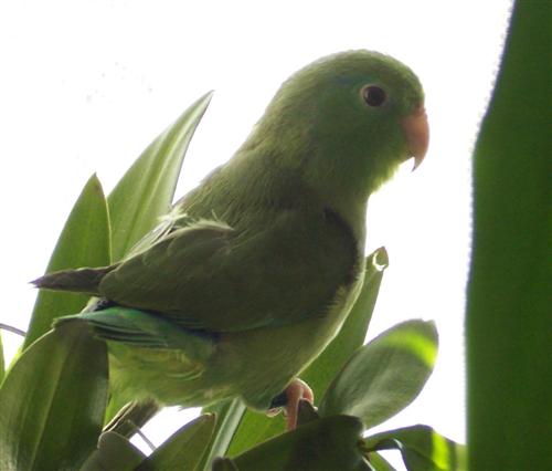 Photo numÃ©rique 087 (Custom).jpg