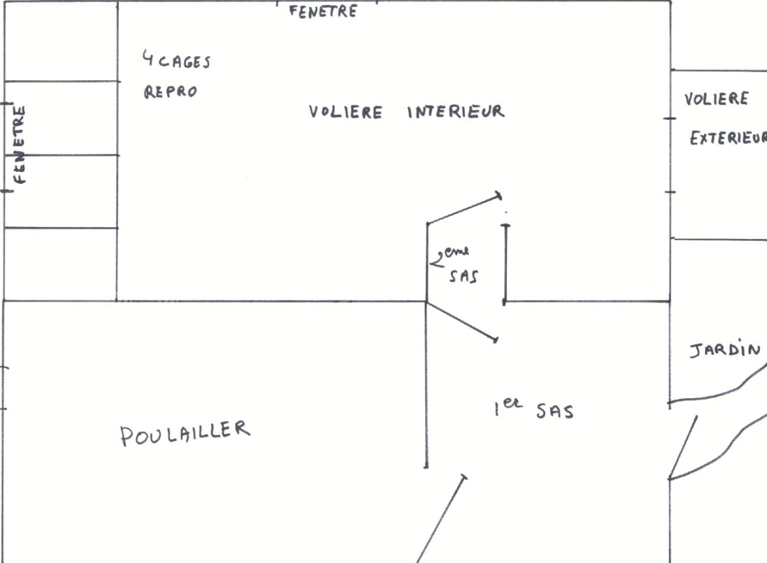plan voliere.jpg
