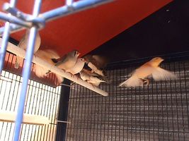 DSC00093.JPG