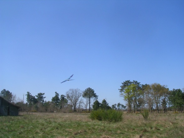 DSCN4041.JPG