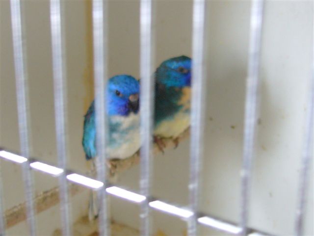 P1010661_edited.JPG