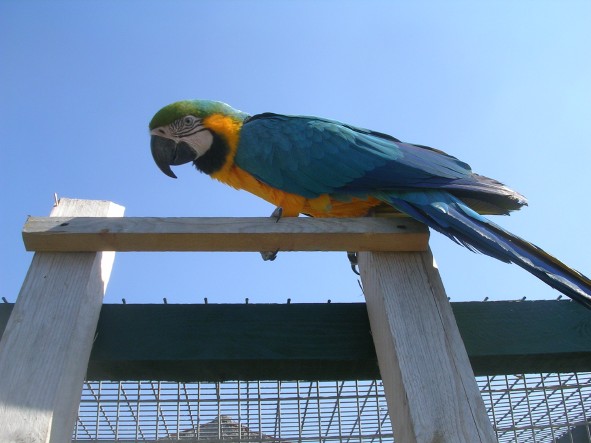 DSCN4063.JPG