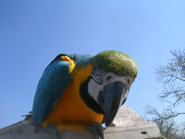 DSCN4077.JPG