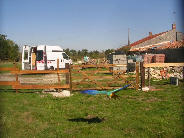 DSCN4110.JPG