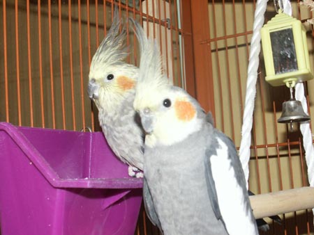 PICT0033.JPG