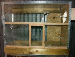PICT0019.JPG
