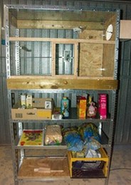 PICT0021.JPG