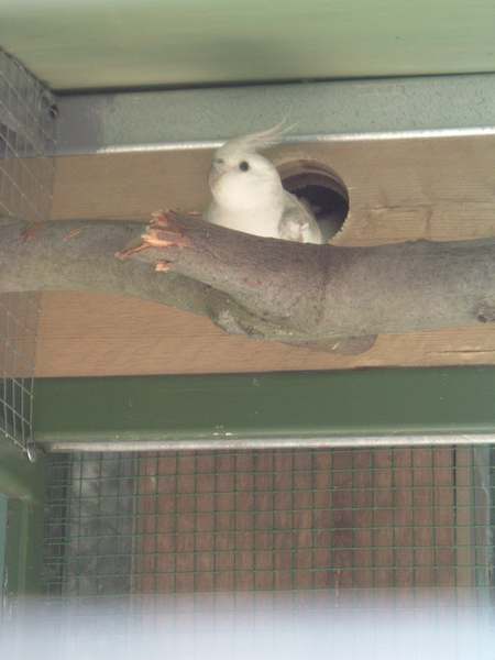 DSCF2873.JPG