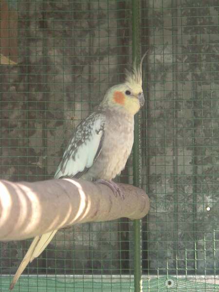 DSCF2874.JPG