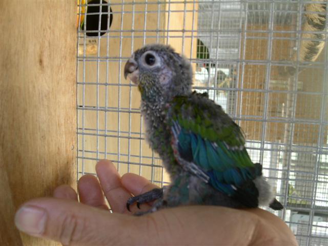 PICT0055 (Small).JPG