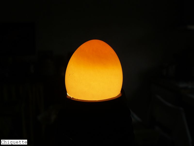 P1000157.jpg
