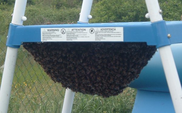 DSCF2878.JPG