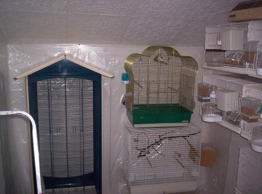 100_0796.JPG