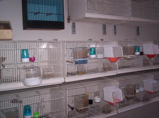 100_0798.JPG