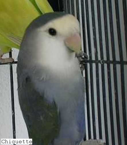 DSCN0475.jpg