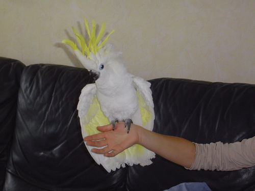 27346584_m[1].jpg