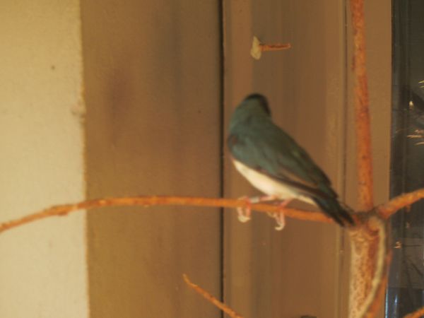 PHOT0009.JPG