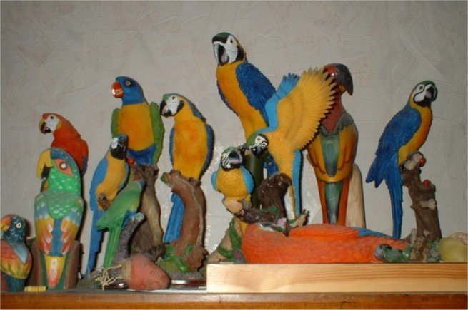 perroks moyens.jpg
