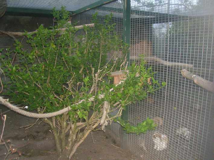 DSCN5276.JPG