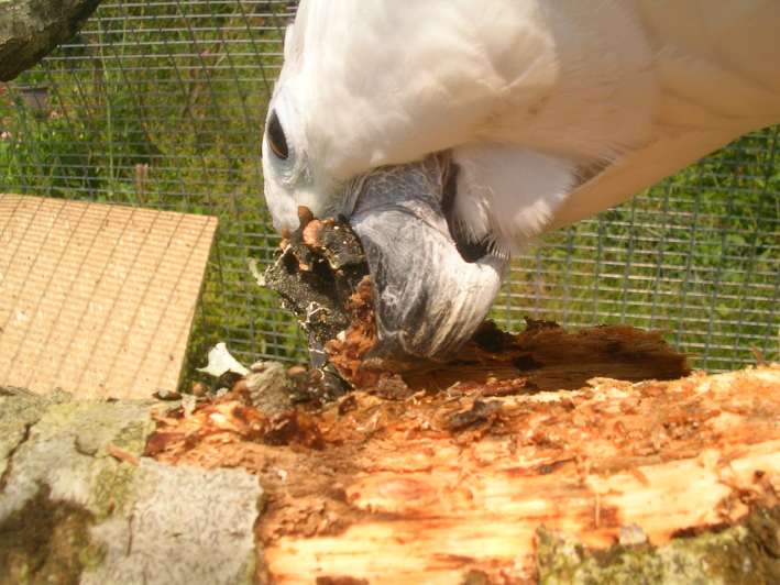 DSCN4966.JPG