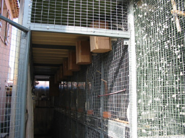 126-2632_IMG.JPG