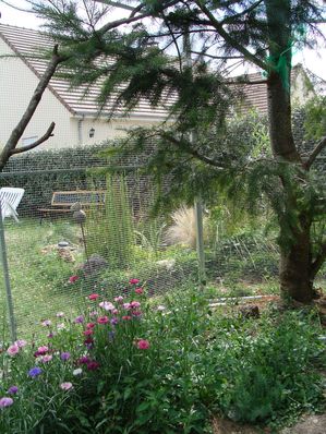 avec des fleurs.jpg
