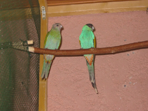 166-6669_IMG_2.JPG