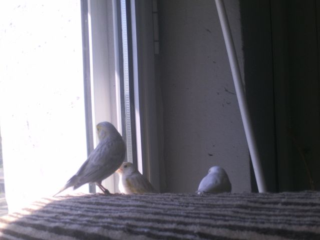 PHOT0021.JPG