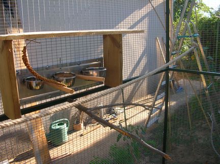 plateau maison.jpg