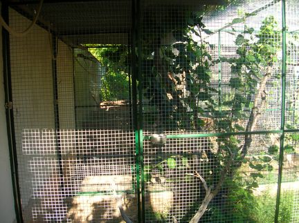 intÃ©rieur 2.jpg