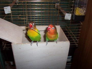 000_0394_0001.jpg