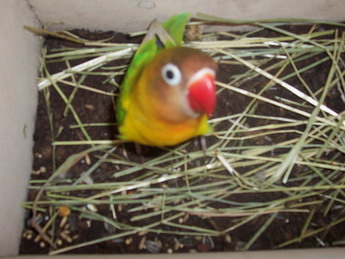 000_0407.jpg
