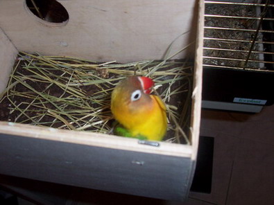 000_0409.jpg