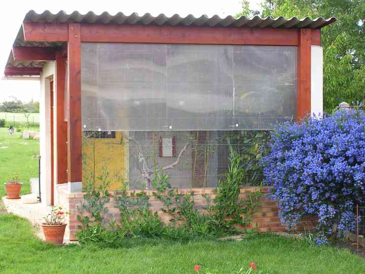PICT0009.jpg