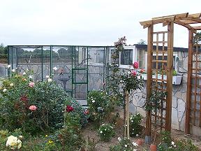 100_2163222.JPG