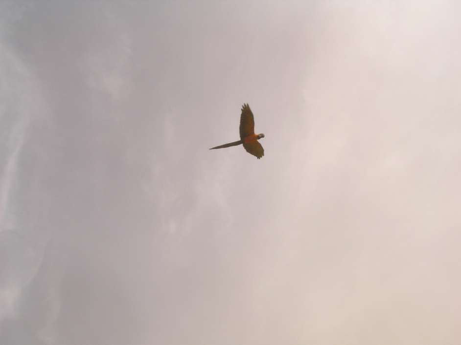 DSCN6332.JPG