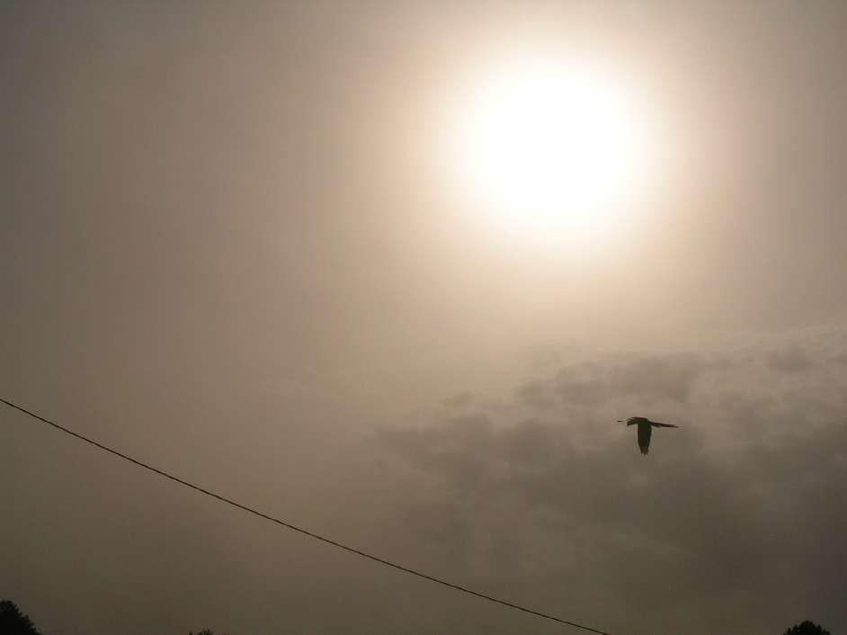 DSCN6334.JPG