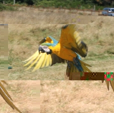 raf 15.jpg