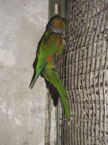 30 10 2008 001.jpg