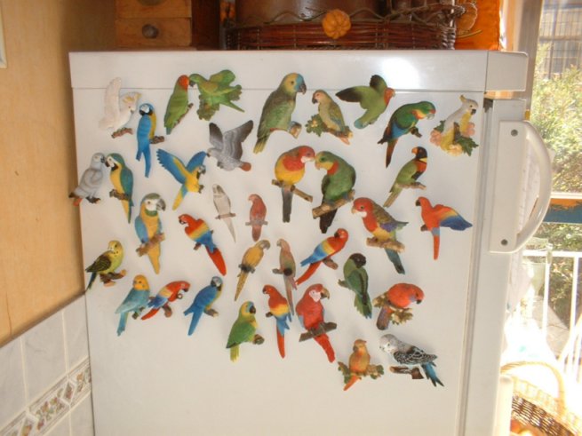 magnets.jpg