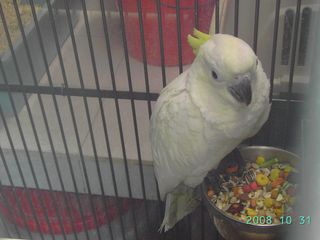 PICT2039.jpg